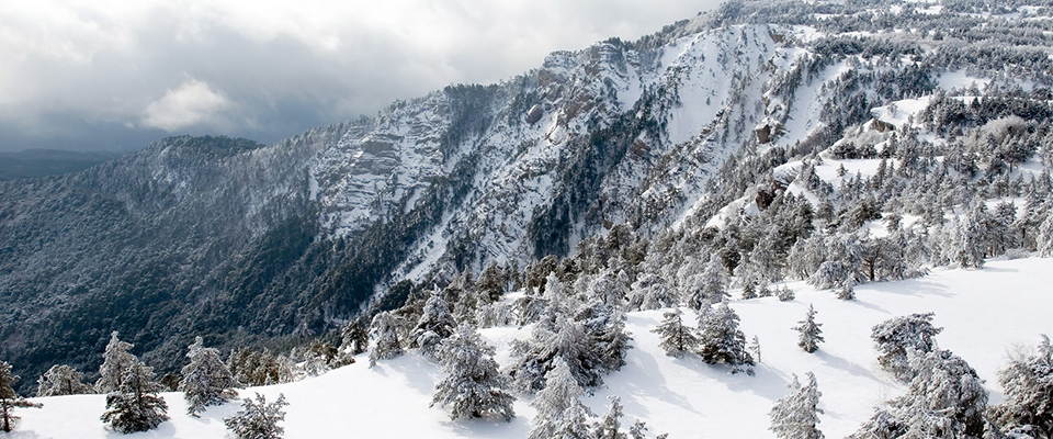 Crête de montagne enneigée parsemée d'arbres givrés, tons blancs et gris frais